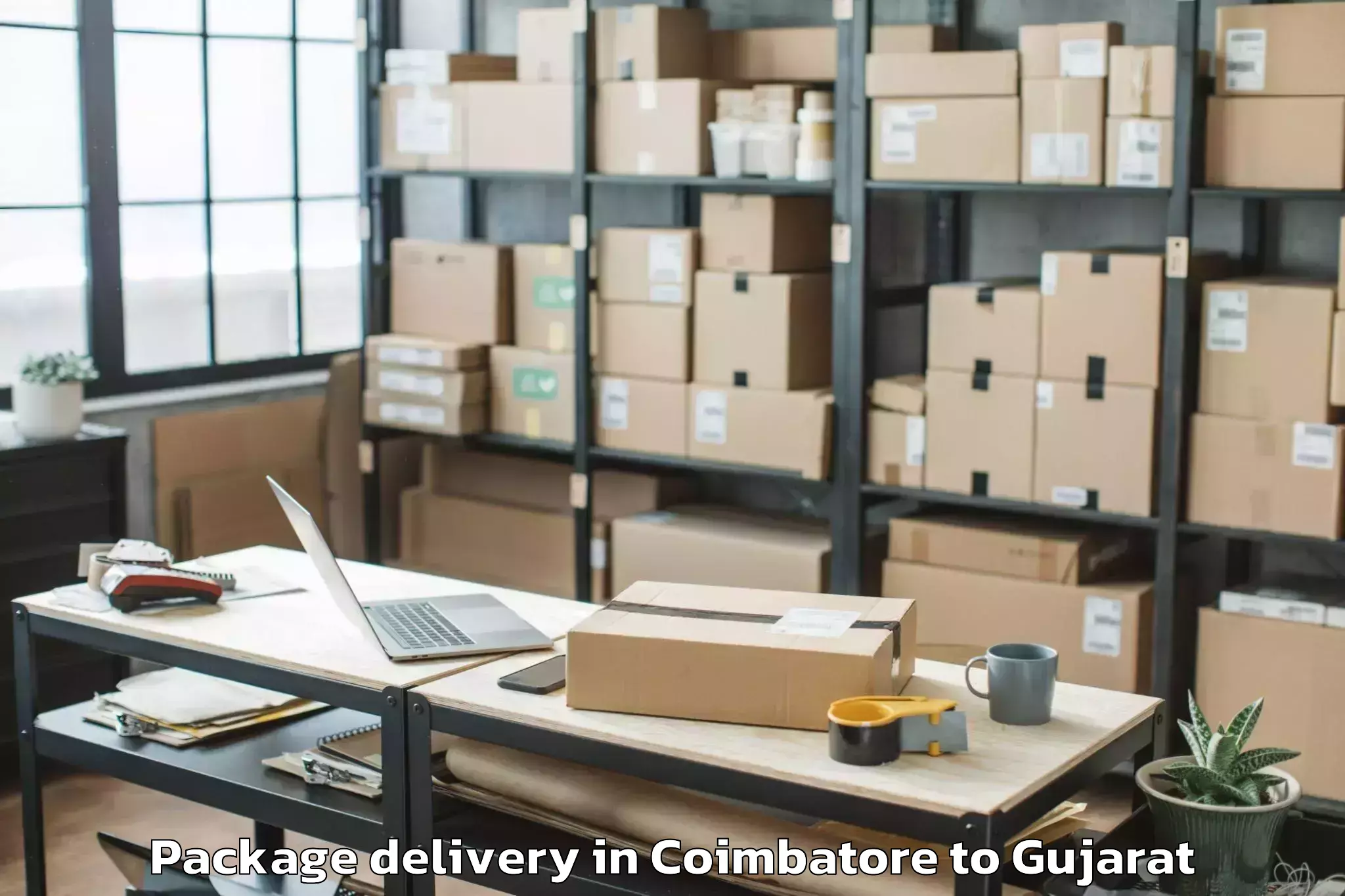 Professional Coimbatore to Visnagar Package Delivery